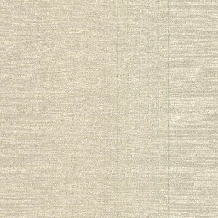 Aspero Champagne Faux Silk Wallpaper by Warner Warner Grasscloth Resource Covers about 60.8 square feet 27-in by 27-ft long roll Unpasted 0 - Fabric Carolina -