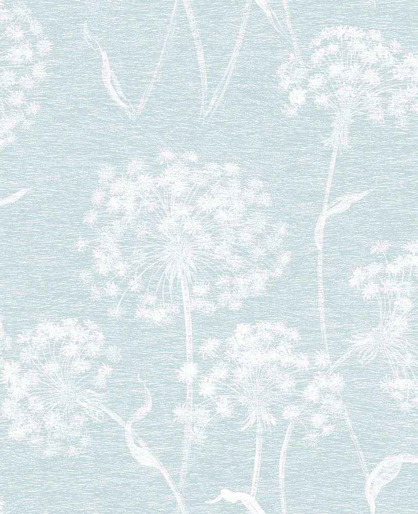 Carolyn Light Blue Dandelion Wallpaper by Advantage Nature Covers about 56.4 square feet 20.5-in by 33-ft long roll Unpasted 12.6 - Fabric Carolina -