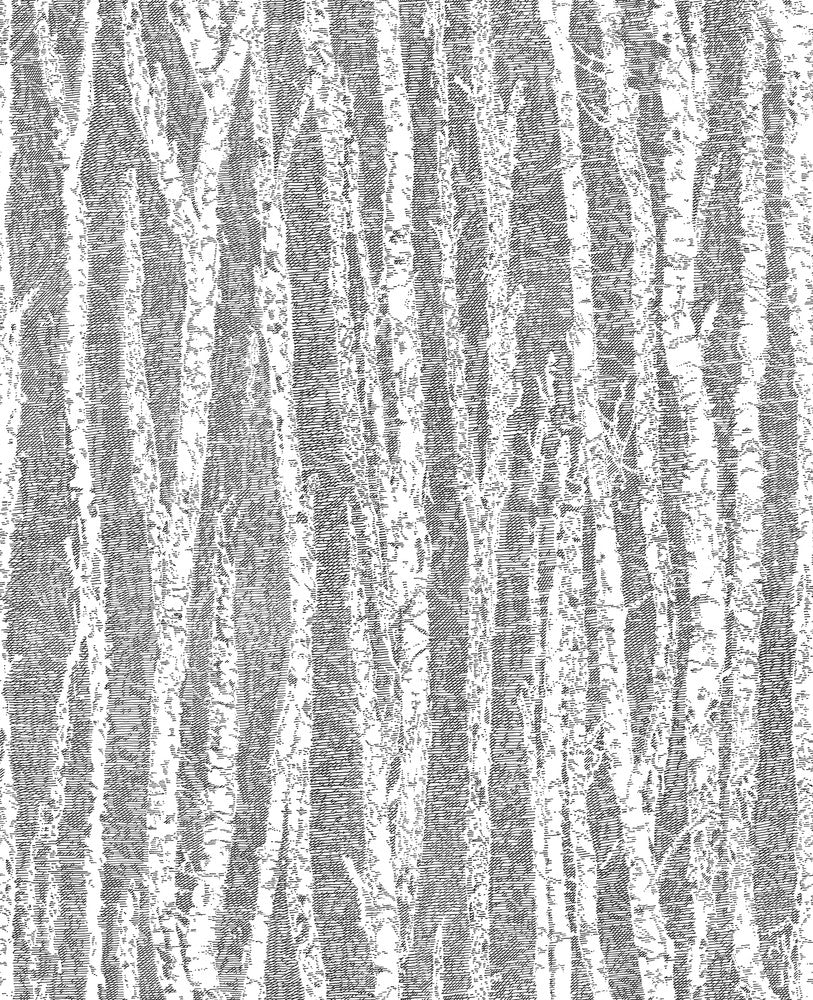 Toyon Black Birch Tree Wallpaper by Advantage Nature Covers about 56.4 square feet 20.5-in by 33-ft long roll Unpasted 12.6 - Fabric Carolina -