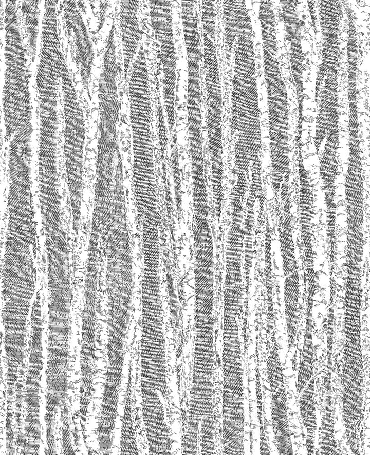 Toyon Black Birch Tree Wallpaper by Advantage Nature Covers about 56.4 square feet 20.5-in by 33-ft long roll Unpasted 12.6 - Fabric Carolina -