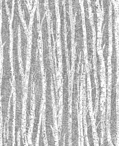 Toyon Black Birch Tree Wallpaper by Advantage