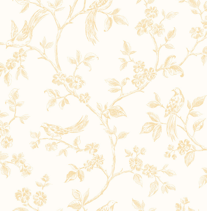 Ray Light Yellow Bird Trail Wallpaper by Advantage Kitchen Covers about 56.4 square feet 20.5-in by 33-ft long roll Unpasted 10.4 - Fabric Carolina -