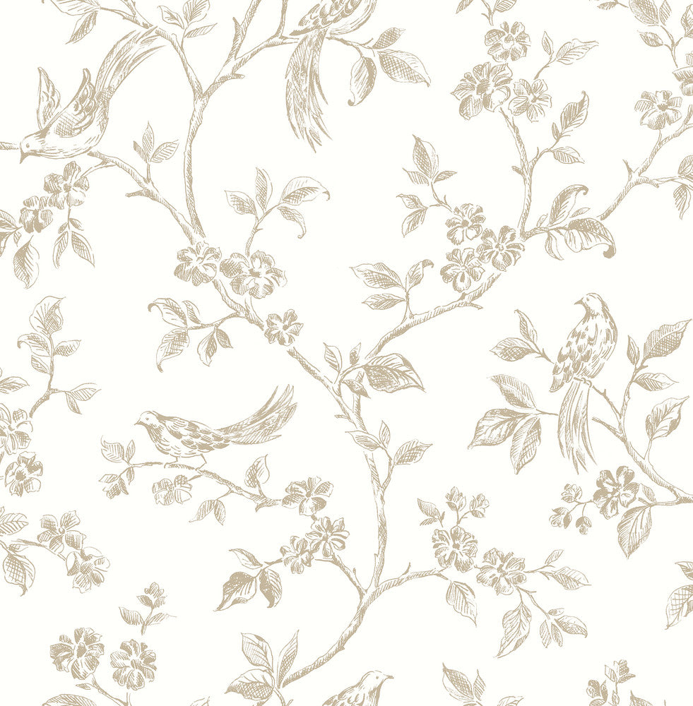 Ray Taupe Bird Trail Wallpaper by Advantage Kitchen Covers about 56.4 square feet 20.5-in by 33-ft long roll Unpasted 10.4 - Fabric Carolina -