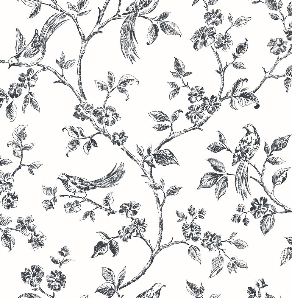 Ray Black Bird Trail Wallpaper by Advantage Kitchen Covers about 56.4 square feet 20.5-in by 33-ft long roll Unpasted 10.4 - Fabric Carolina -
