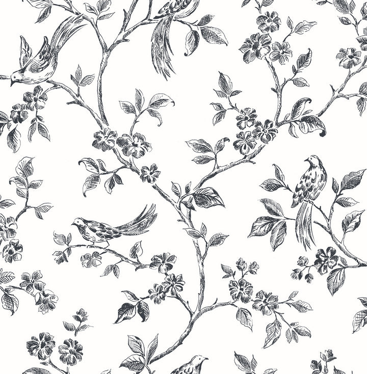 Ray Black Bird Trail Wallpaper by Advantage Kitchen Covers about 56.4 square feet 20.5-in by 33-ft long roll Unpasted 10.4 - Fabric Carolina -