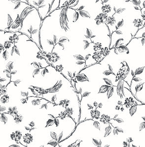 Ray Black Bird Trail Wallpaper by Advantage