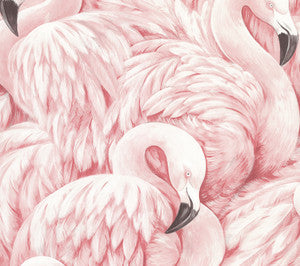 Horace Light Pink Flamingos Wallpaper by Advantage