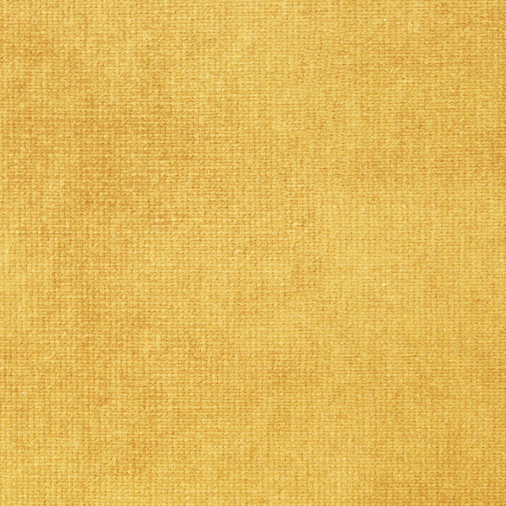 Imperial L Gold Dust 148 by P Kaufmann Fabrics Fabric