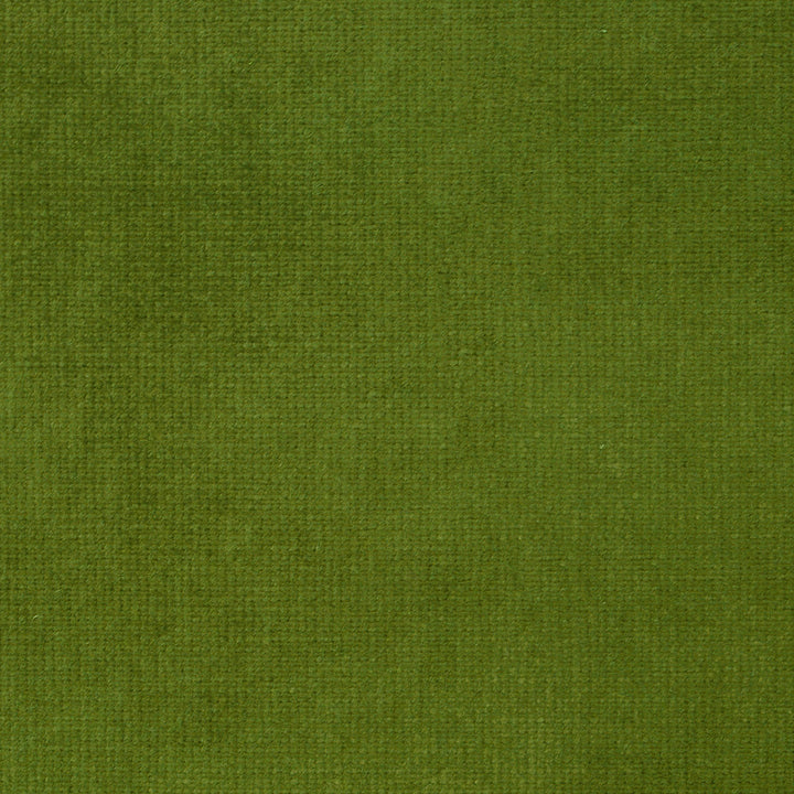 Imperial L Olivine 326 by P Kaufmann Fabrics Fabric
