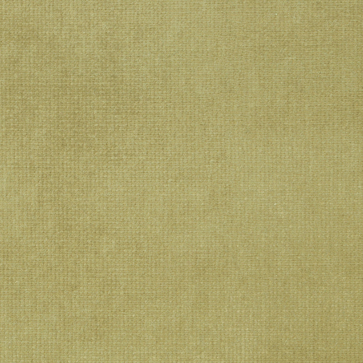 Imperial L Shadow 363 by P Kaufmann Fabrics Fabric
