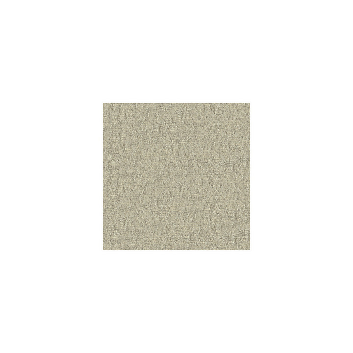 28254-1116 by Kravet Smart Fabric RAYON - 52%;POLYESTER - 48% China HEAVY Horizontal: 0 and Vertical: 0 54 - Fabric Carolina -