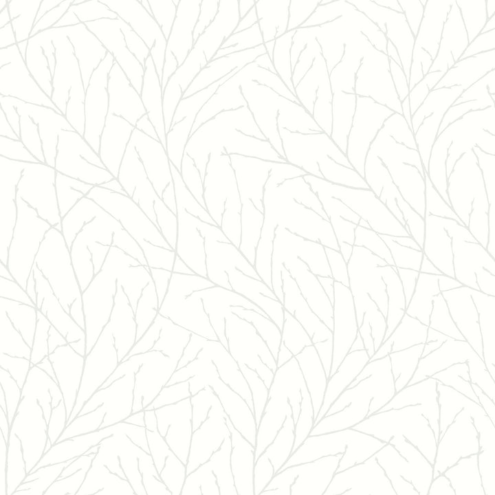 Branches Off White Trees Wallpaper by Wall Vision In Bloom Covers about 57.8 square feet 21-in by 33-ft long roll Unpasted 21 - Fabric Carolina -