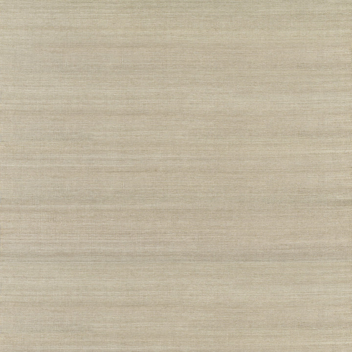 Galan Silver Sisal Grasscloth Wallpaper by A-Street Prints Fibers Covers about 72 square feet 36-in by 24-ft long roll Unpasted 0 - Fabric Carolina -