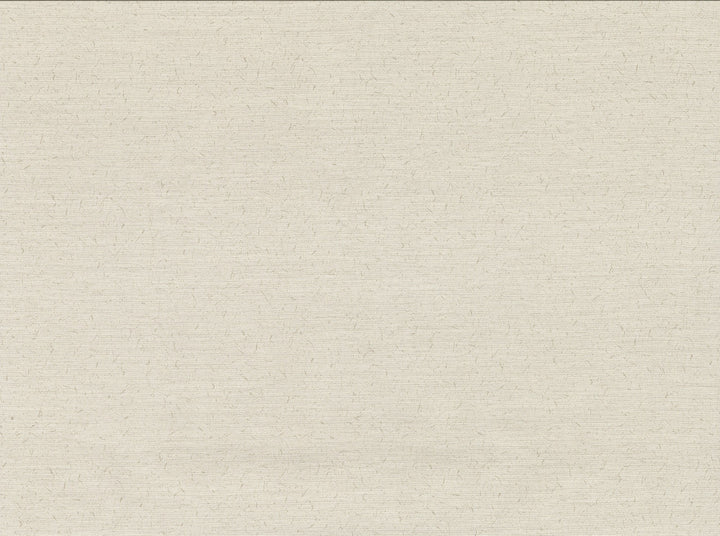Bravos Cream Faux Grasscloth Wallpaper by Warner Cortina IV Covers about 60.8 square feet 27-in by 27-ft long roll Unpasted 0 - Fabric Carolina -