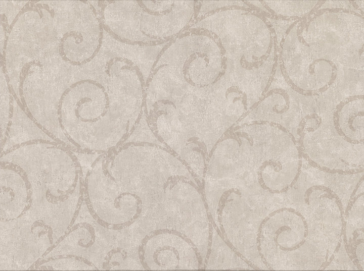 Sansa Khaki Plaster Scroll Wallpaper by Warner Cortina IV Covers about 60.8 square feet 27-in by 27-ft long roll Unpasted 18 - Fabric Carolina -