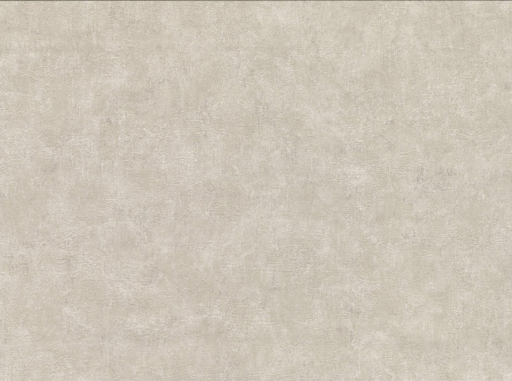 Clegane Bone Plaster Texture Wallpaper by Warner Cortina IV Covers about 60.8 square feet 27-in by 27-ft long roll Unpasted 0 - Fabric Carolina -