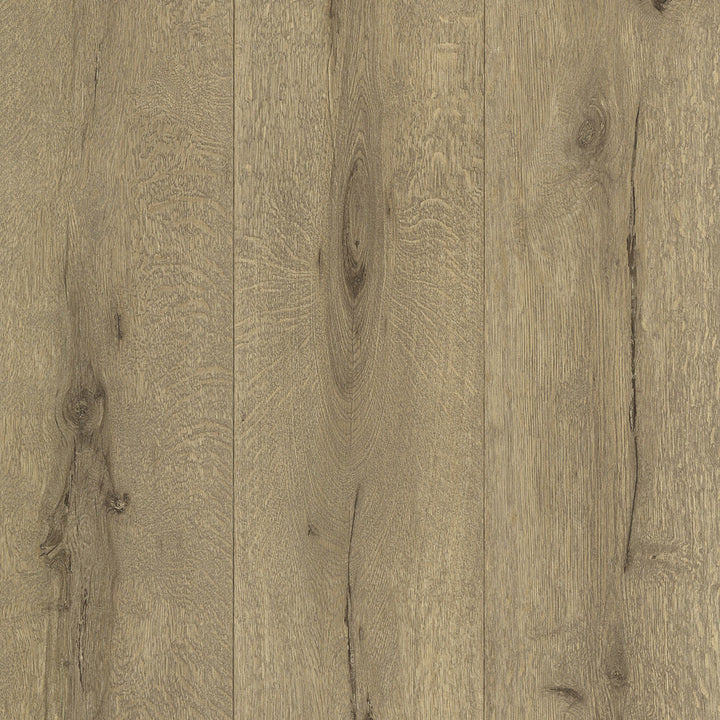 Meadowood Brown Wide Plank Wallpaper by Advantage Deluxe Covers about 56.4 square feet 20.5-in by 33-ft long roll Unpasted 0 - Fabric Carolina -