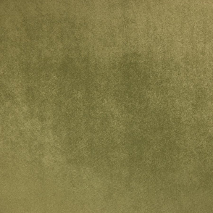 Zurich # 29 Thyme by Maxwell Fabric Glam Velvet 100% POLYESTER INDIA 56.75" - Fabric Carolina -