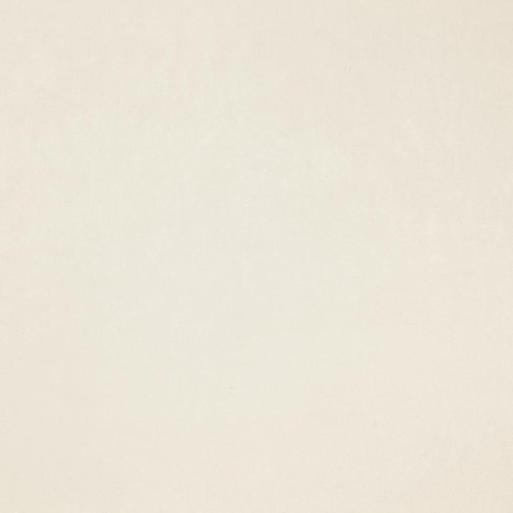 Zurich # 38 Angora by Maxwell Fabric Glam Velvet 100% POLYESTER INDIA 56.75" - Fabric Carolina -