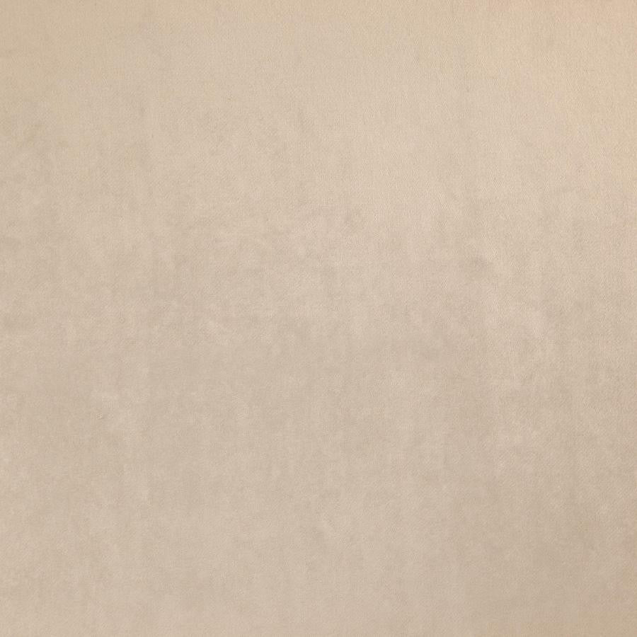 Zurich # 41 Ecru by Maxwell Fabric Glam Velvet 100% POLYESTER INDIA 56.75" - Fabric Carolina -