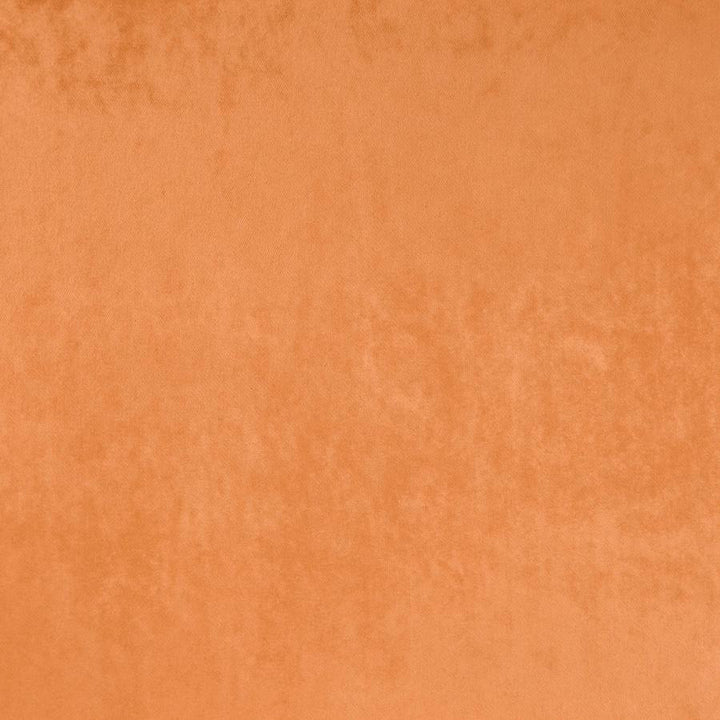 Zurich # 50 Apricot by Maxwell Fabric Glam Velvet 100% POLYESTER INDIA 56.75" - Fabric Carolina -