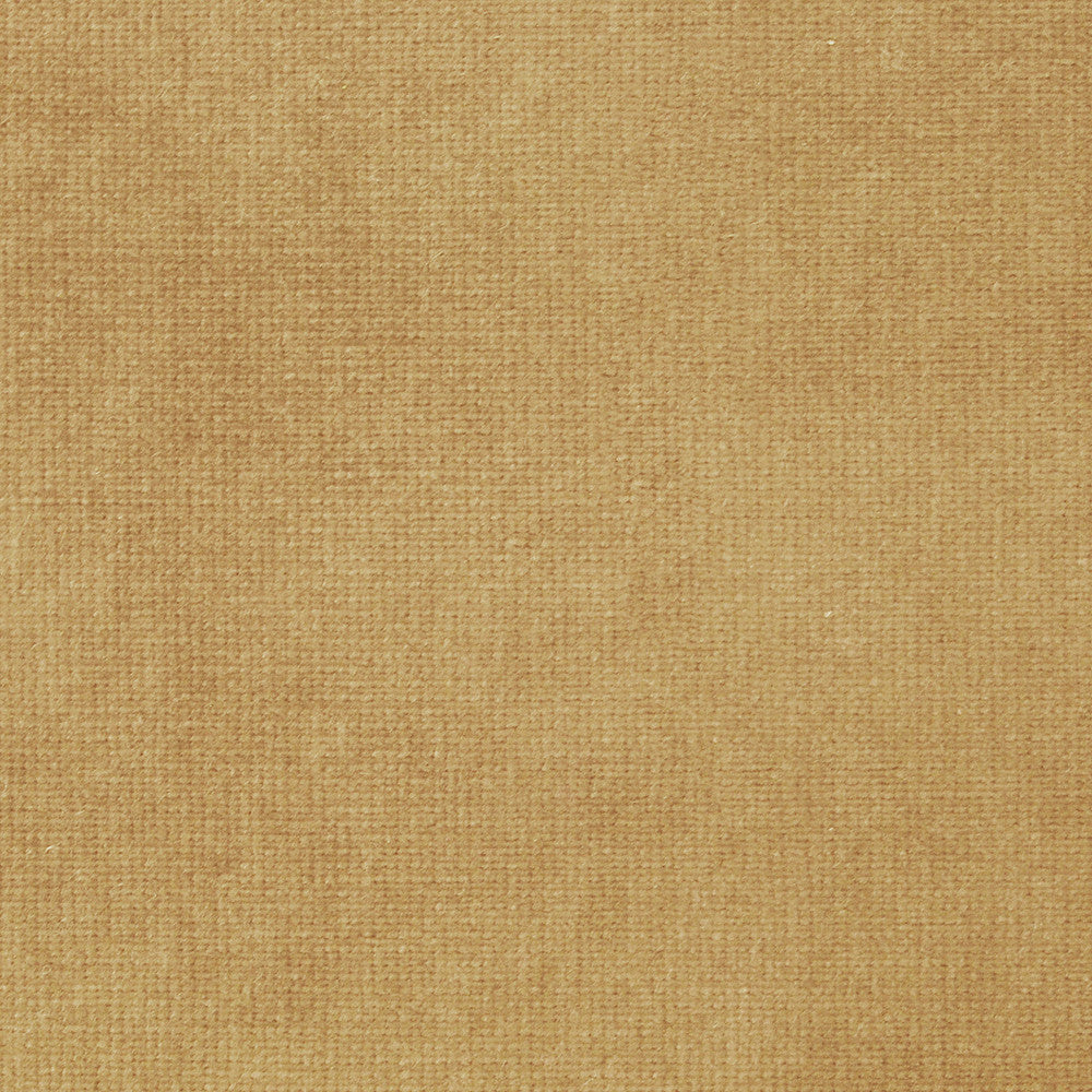 Imperial L Camel 818 by P Kaufmann Fabrics Fabric