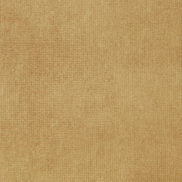 Imperial L Camel 818 by P Kaufmann Fabrics Fabric