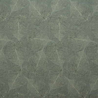 28436-435 by Kravet Basics Fabric
