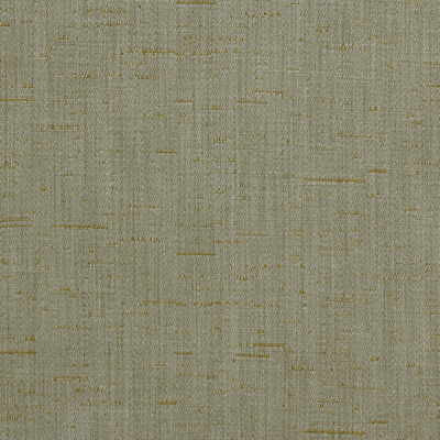 Regina Shell by Kravet Smart Fabric CANDICE OLSON COLLECTION POLYESTER - 100% India MEDIUM Horizontal: 0 and Vertical: 0 54 - Fabric Carolina -