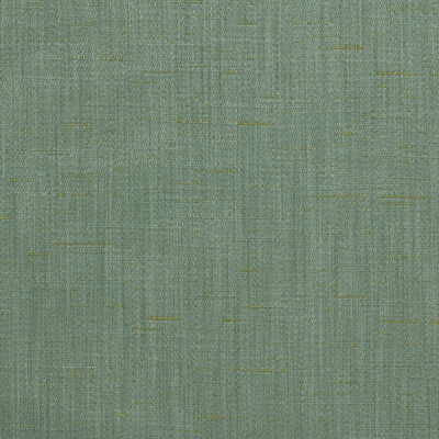 Regina Frost by Kravet Smart Fabric CANDICE OLSON COLLECTION POLYESTER - 100% India MEDIUM Horizontal: 0 and Vertical: 0 54 - Fabric Carolina -