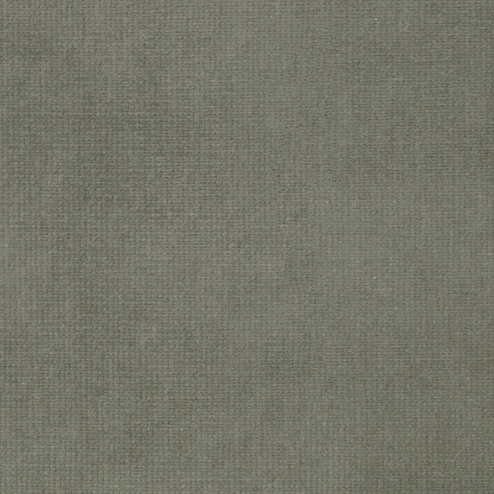 Imperial L Ash 908 by P Kaufmann Fabrics Fabric