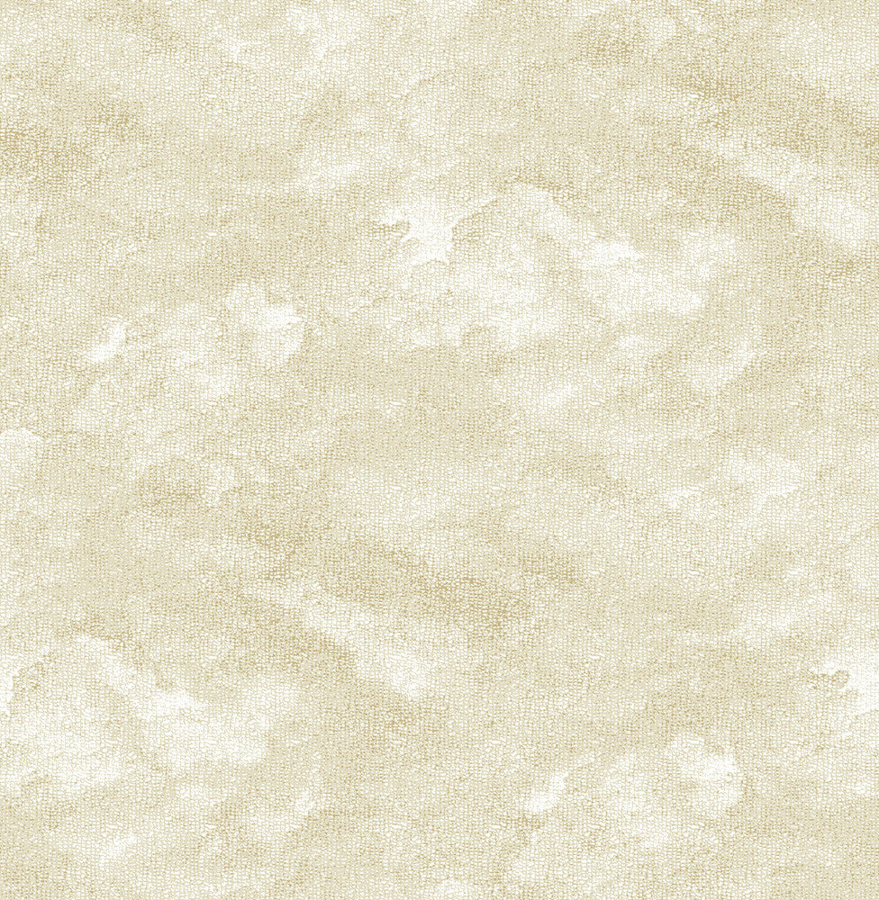 Bode Beige Cloud Wallpaper by A-Street Prints Equinox Covers about 56.4 square feet 20.5-in by 33-ft long roll Unpasted 20.9 - Fabric Carolina -