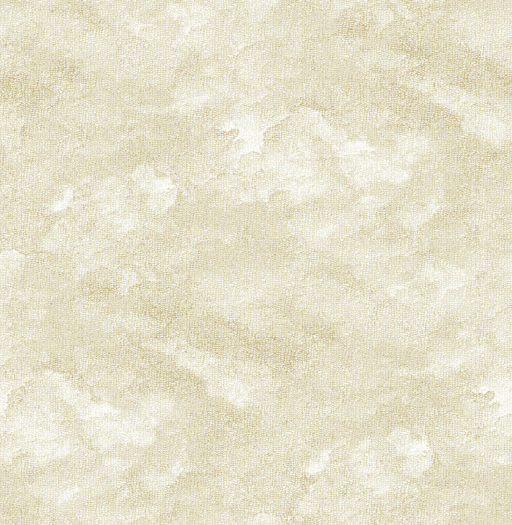 Bode Beige Cloud Wallpaper by A-Street Prints Equinox Covers about 56.4 square feet 20.5-in by 33-ft long roll Unpasted 20.9 - Fabric Carolina -
