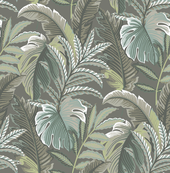 Verdant Dark Grey Botanical Wallpaper by A-Street Prints Equinox Covers about 56.4 square feet 20.5-in by 33-ft long roll Unpasted 20.9 - Fabric Carolina -