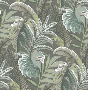 Verdant Dark Grey Botanical Wallpaper by A-Street Prints