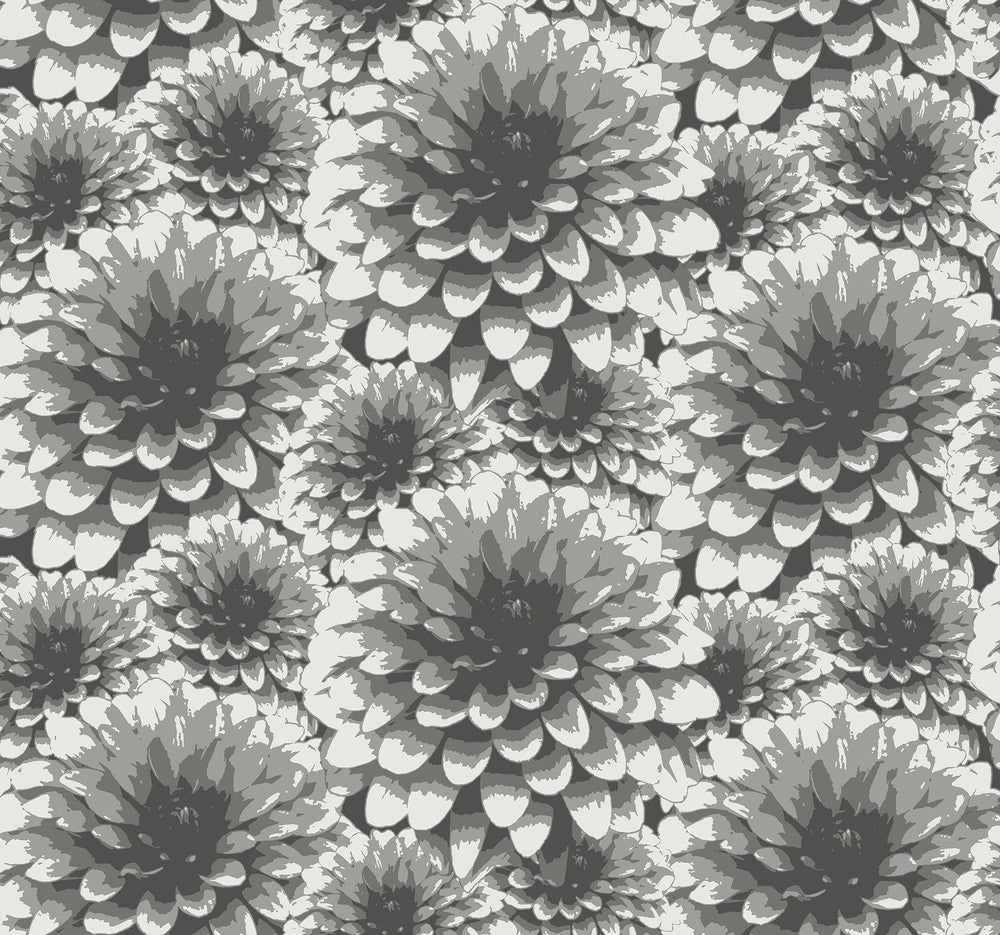 Umbra Charcoal Floral Wallpaper by A-Street Prints Equinox Covers about 60.8 square feet 27-in by 27-ft long roll Unpasted 12.6 - Fabric Carolina -