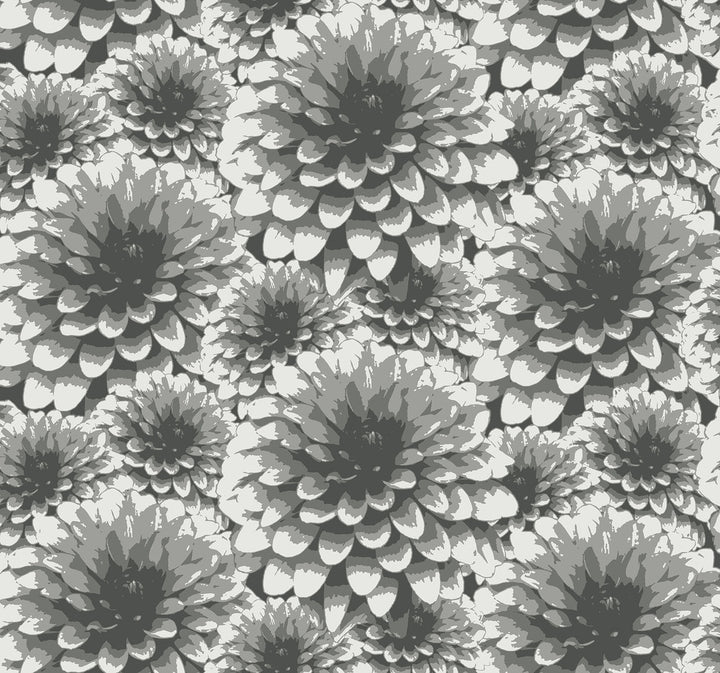 Umbra Charcoal Floral Wallpaper by A-Street Prints Equinox Covers about 60.8 square feet 27-in by 27-ft long roll Unpasted 12.6 - Fabric Carolina -