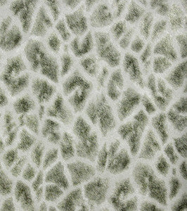 Montone Grey Giraffe Wallpaper by Brewster