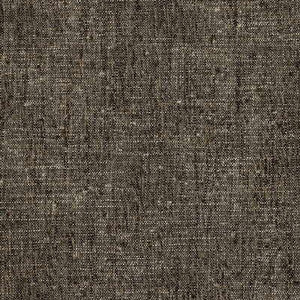 Blitz Coal by Kravet Smart Fabric