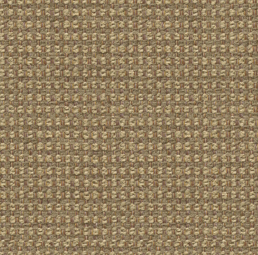 Queen Suede by Kravet Smart Fabric