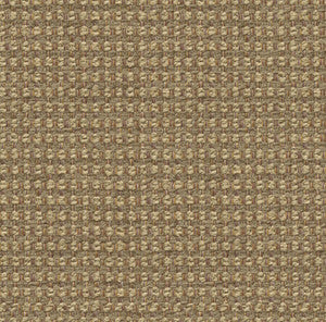 Queen Suede by Kravet Smart Fabric