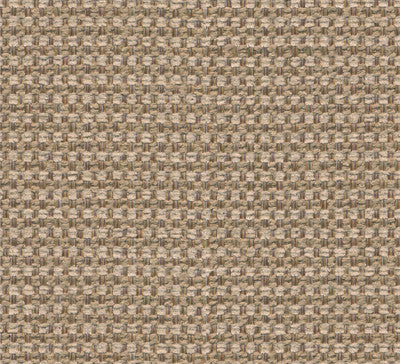 Queen Dove by Kravet Smart Fabric