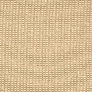 Queen Chiffon by Kravet Smart Fabric
