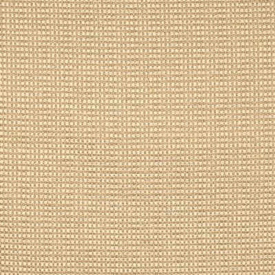 Queen Chiffon by Kravet Smart Fabric GIS RAYON - 57%;POLYESTER - 35%;COTTON - 7%;NYLON - 1% United States HEAVY Horizontal: 0 and Vertical: 0 57.5 - Fabric Carolina -