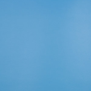 10200-0019 Capriccio Sky by Sunbrella Fabric