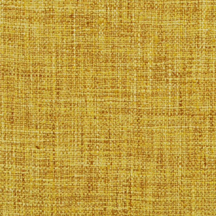 Speedy Sunshine 150 by P Kaufmann Fabrics Fabric