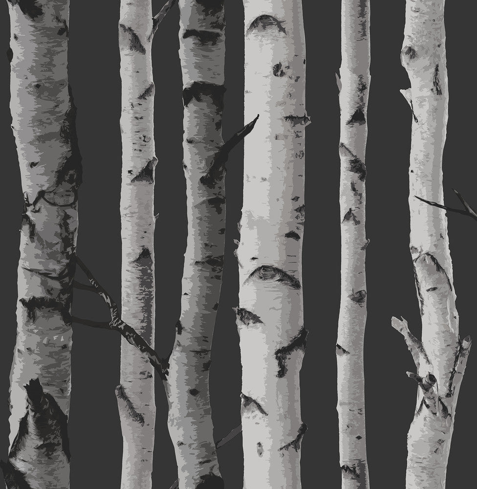Distinctive Black Birch Tree Wallpaper by Fine Decor Medley Covers about 56.4 square feet Great Britain Unpasted 20.86-in repeat, drop match 20.5-in by 33-ft long roll - Fabric Carolina -