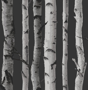 Distinctive Black Birch Tree Wallpaper by Fine Decor