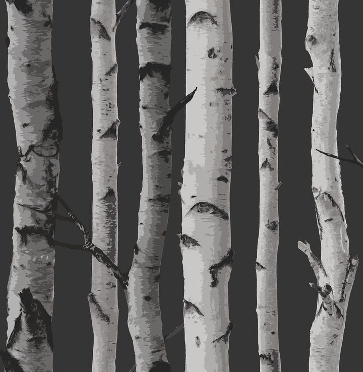 Distinctive Black Birch Tree Wallpaper by Fine Decor Medley Covers about 56.4 square feet Great Britain Unpasted 20.86-in repeat, drop match 20.5-in by 33-ft long roll - Fabric Carolina -