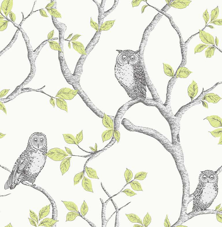 Linden Green Owl Wallpaper by Fine Decor Medley Covers about 56.4 square feet Great Britain Unpasted 20.86-in repeat, drop match 20.5-in by 33-ft long roll - Fabric Carolina -